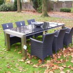 RVS tuintafel Alien 3