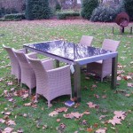 RVS tuintafel Alien 6